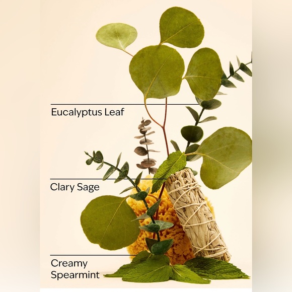 Bath & Body Works Eucalyptus 4 Piece Set - 3 Wick Candle, Soap, Spray and Bag - Picture 3 of 16